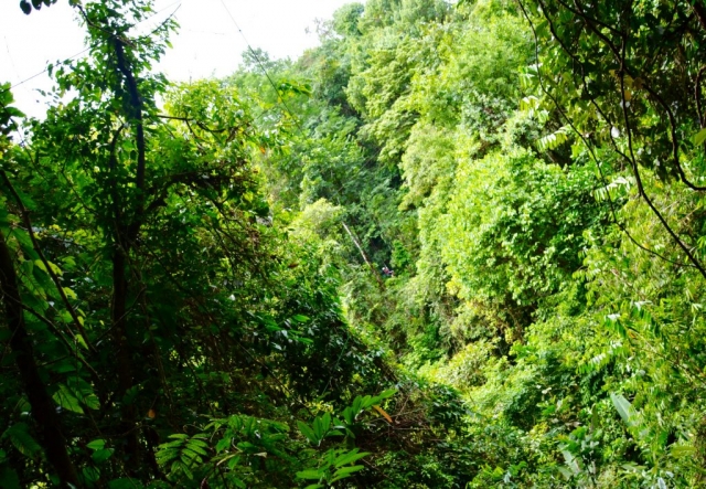 Zip lining, Costa Rica