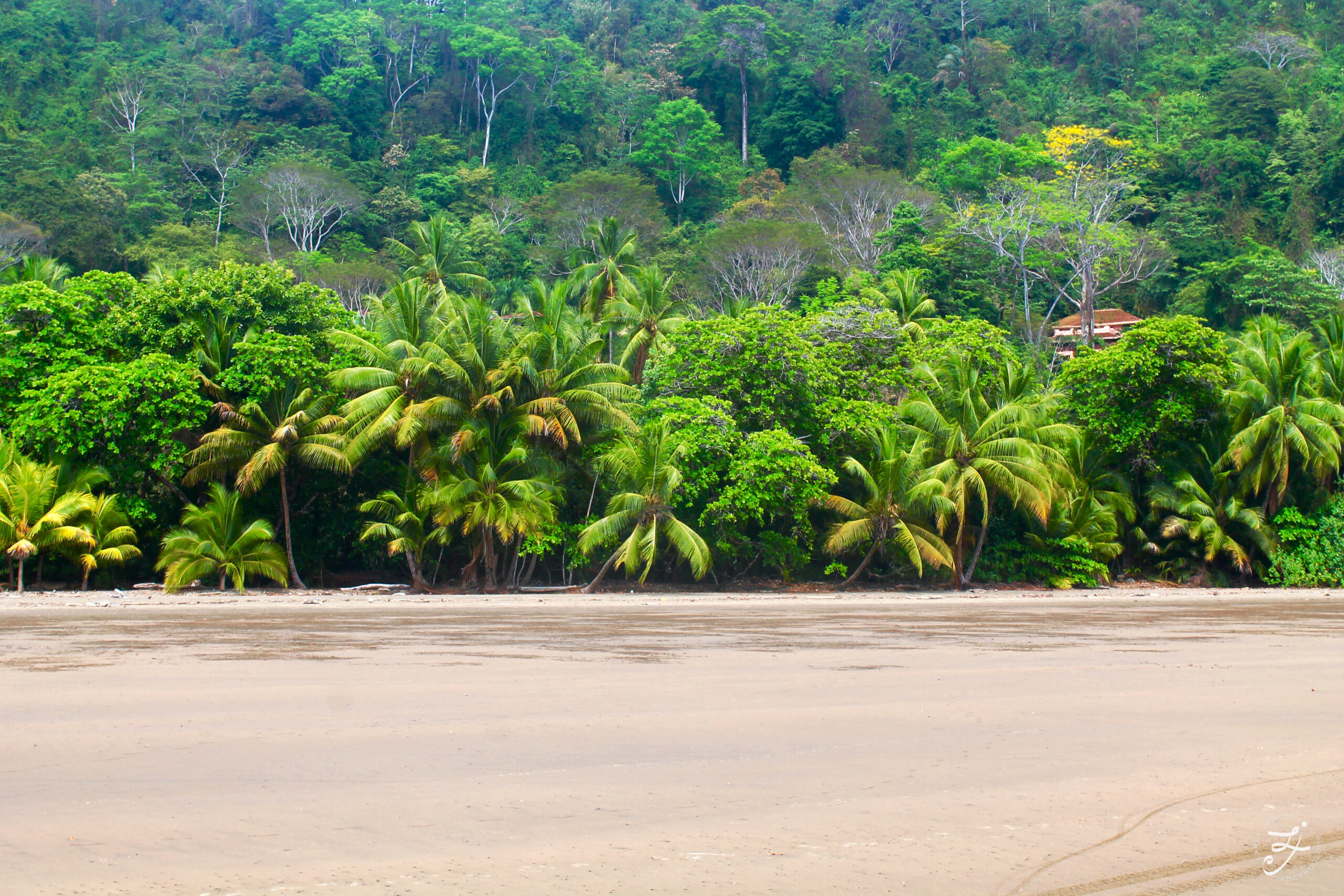 Dominical, Costa Rica