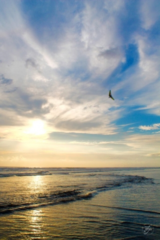 Playa Dominical, Costa Rica