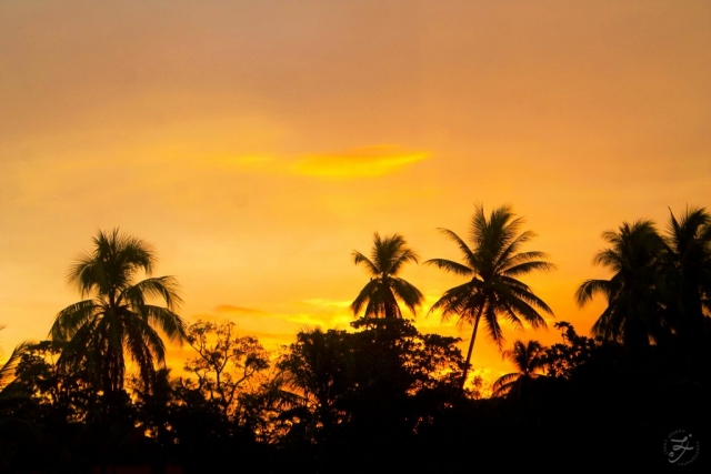 Playa Espadilla, Costa Rica