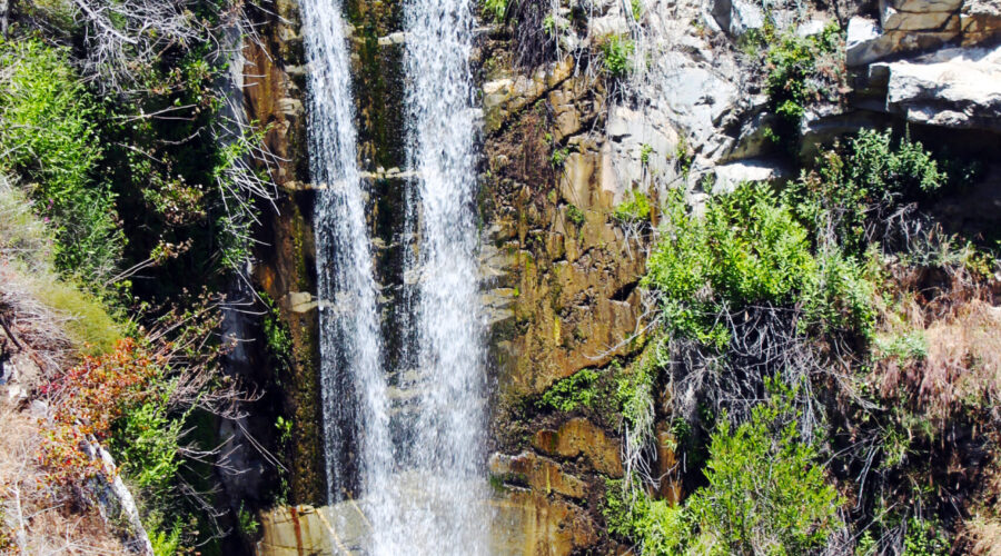 Hiking Trail Canyon Trail 🌊🌱🌿